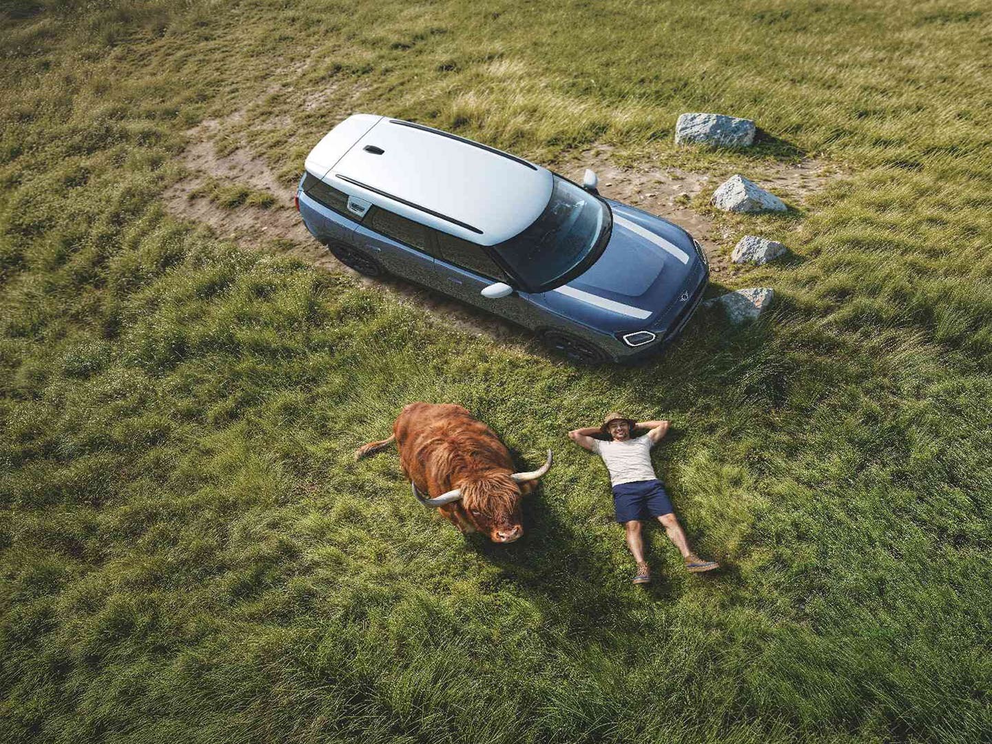 A MINI Countryman driving past a cow grazing peacefully nearby. With proactive care, we handle the worries, you drive.